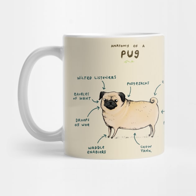 Anatomy of a Pug by Sophie Corrigan